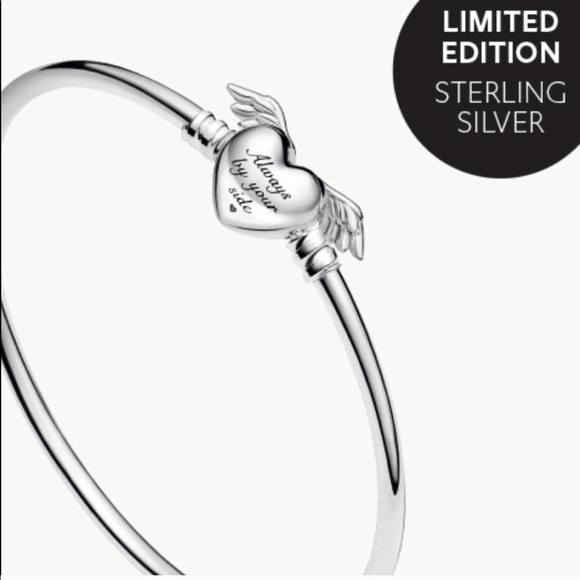 NWOT PANDORA LIMITED EDITION Angle Heart Wings W/ 15 Charms - Picture 10 of 12